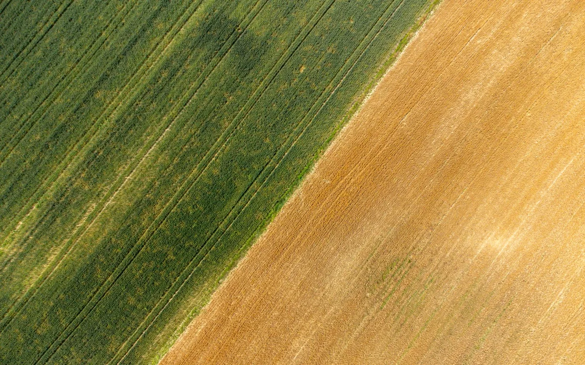 Czym różni się dopuszczalny podział klauzuli od niedozwolonej redukcji utrzymującej skuteczność?